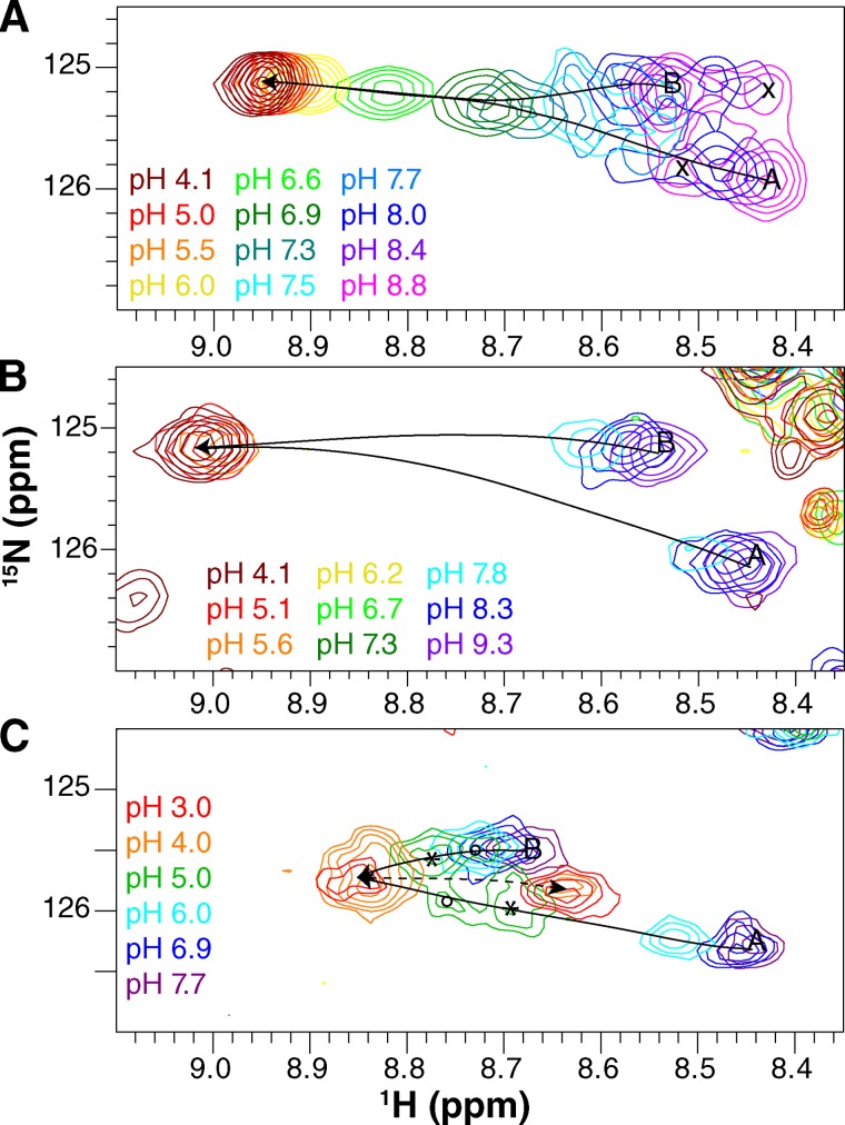 Figure 5.