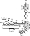 FIG. 1