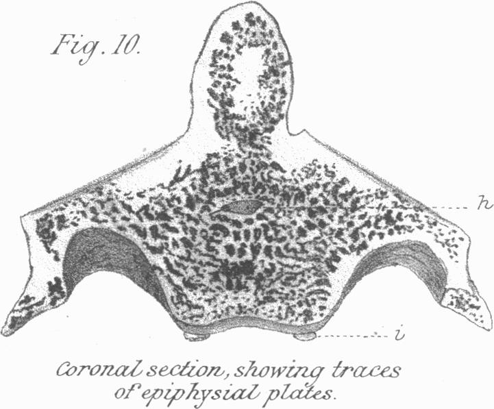 Fig. 10