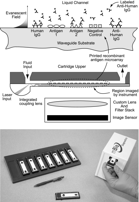 Fig. 1.