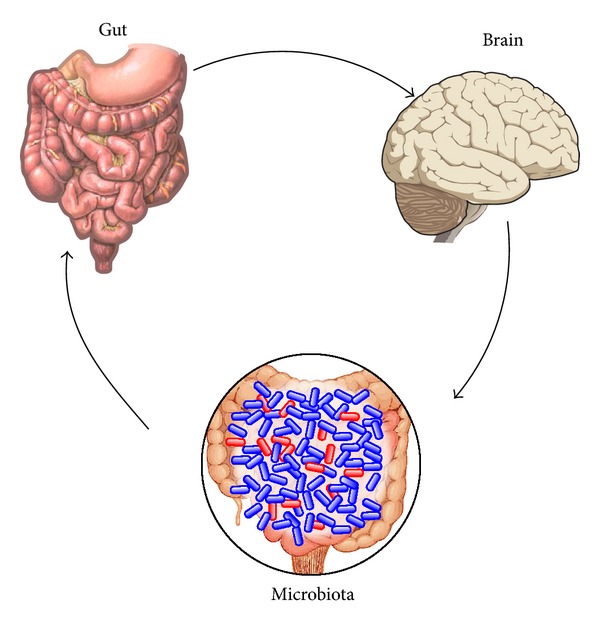 Figure 5