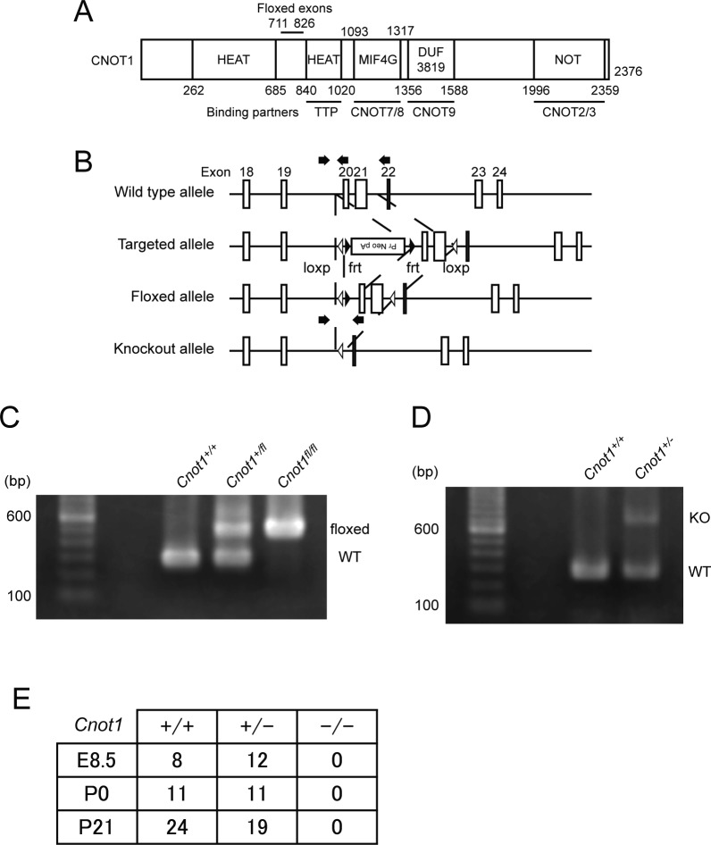 Figure S1.