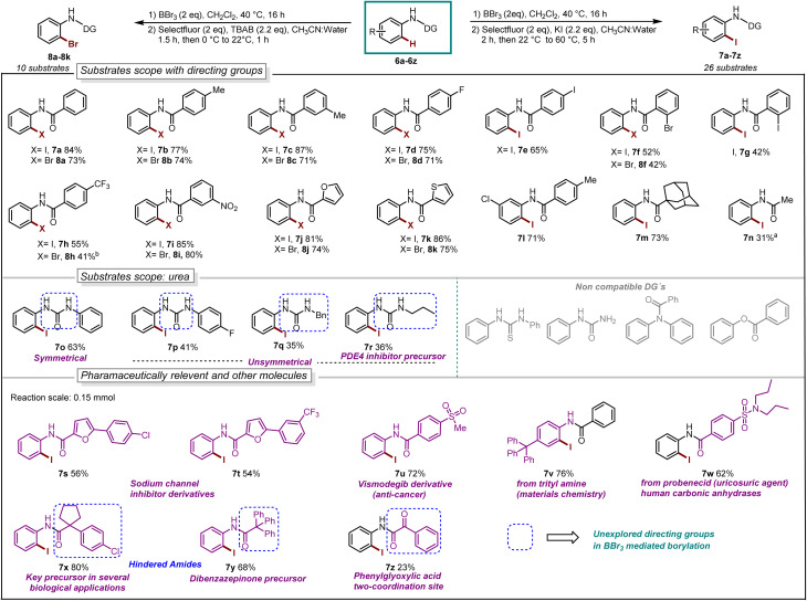 Scheme 2