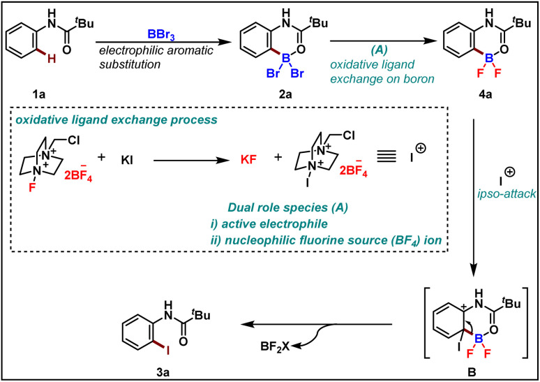 Scheme 6