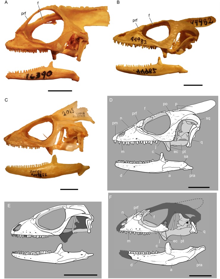 Fig 5