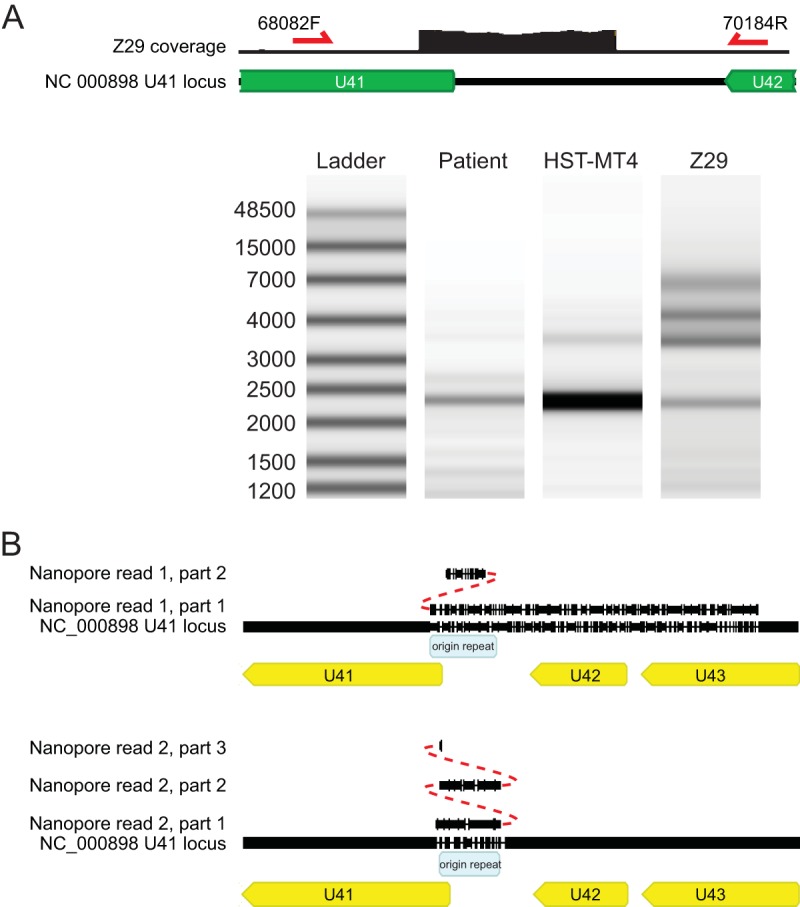 FIG 3