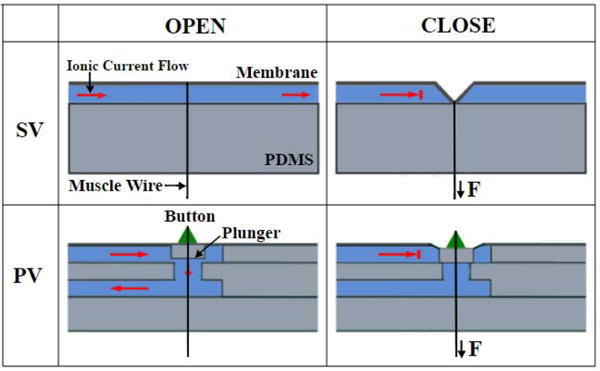 Fig. 1