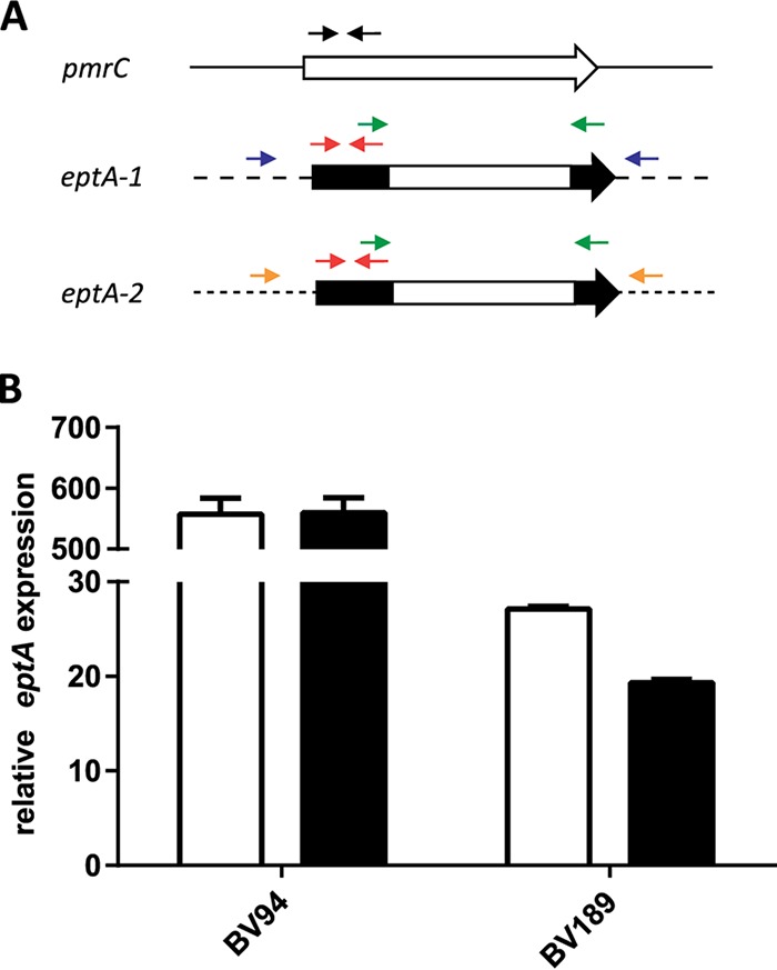 FIG 2