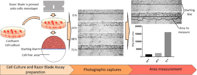 Image, graphical abstract