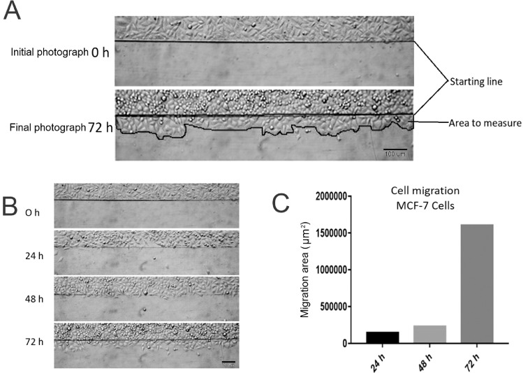 Fig3