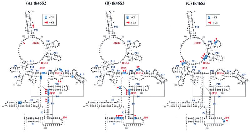 Figure 5