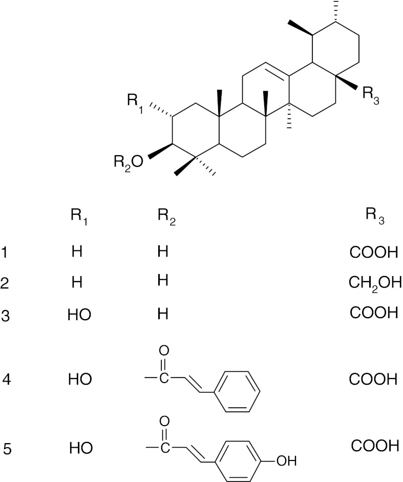 Fig. 1