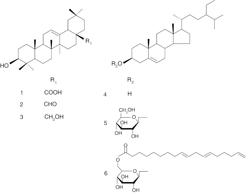 Fig. 2