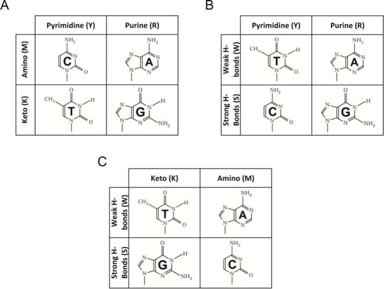 Fig. (1)