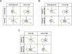Fig. (1)