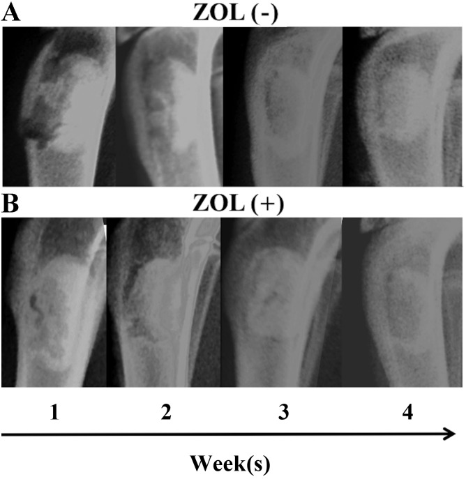 Figure 6.