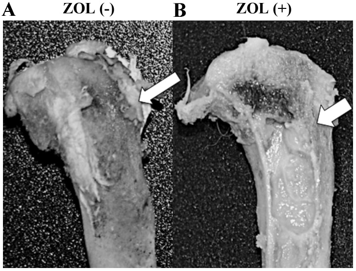 Figure 7.