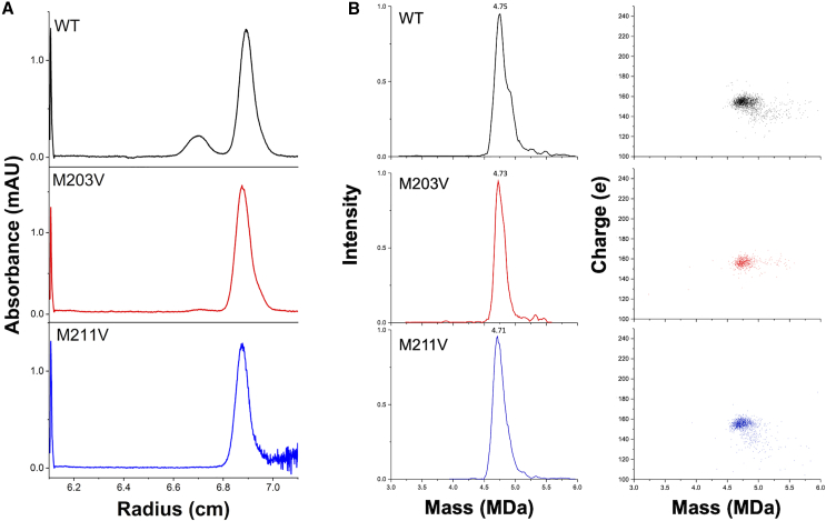 Figure 7