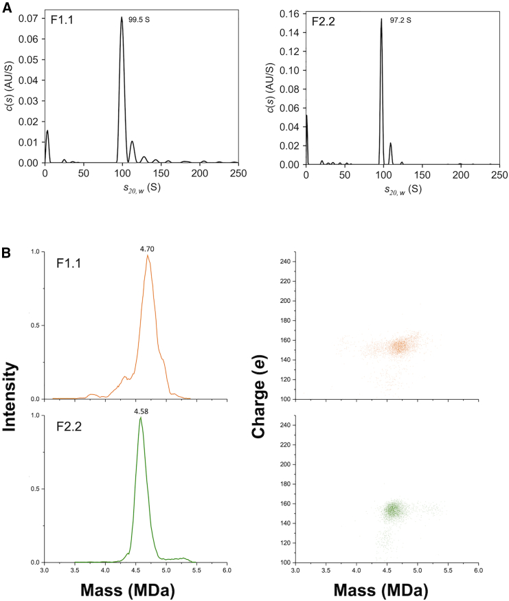 Figure 3