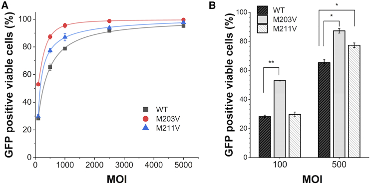 Figure 6