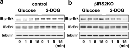 FIG. 8.