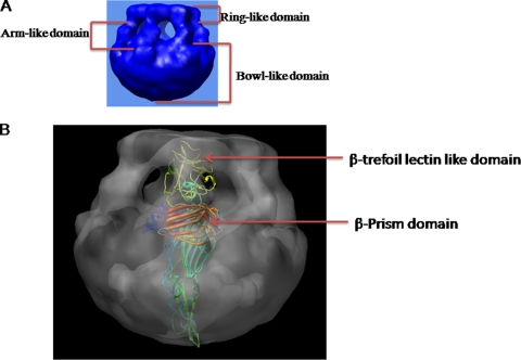 FIG. 9.