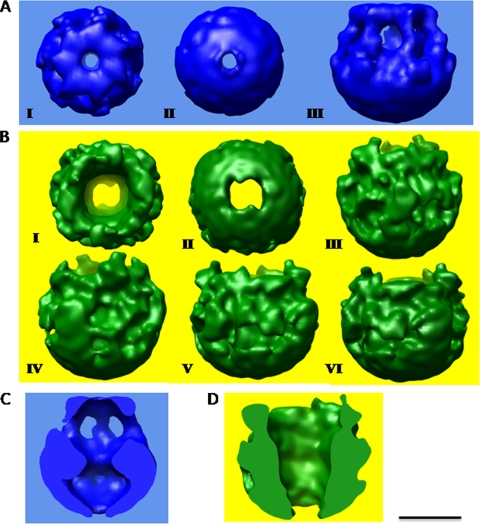 FIG. 4.