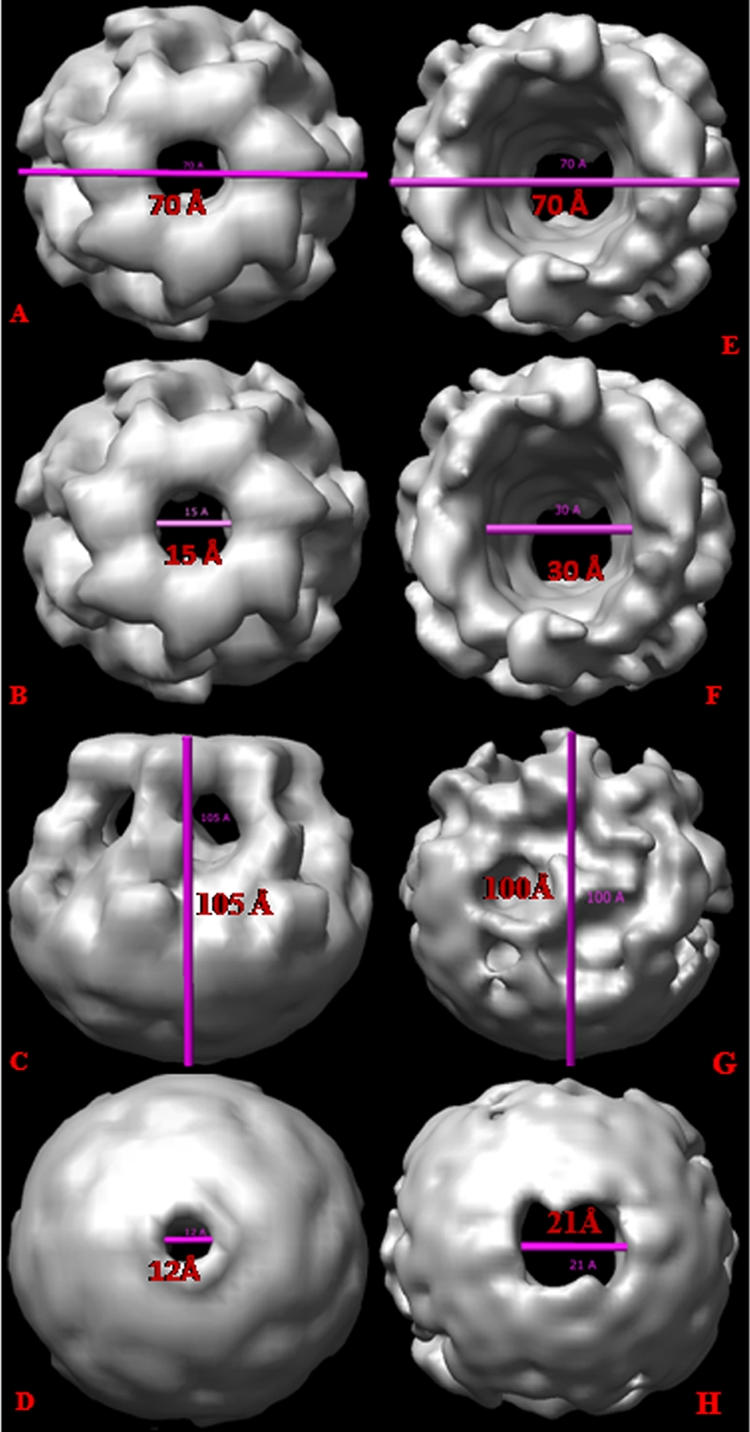 FIG. 6.