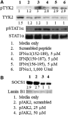 <b>FIG. 6.</b>