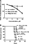 <b>FIG. 2.</b>
