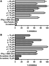 <b>FIG. 1.</b>