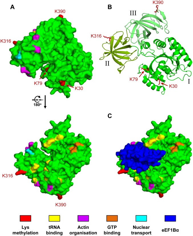 Fig 6