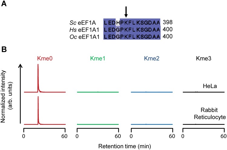 Fig 5