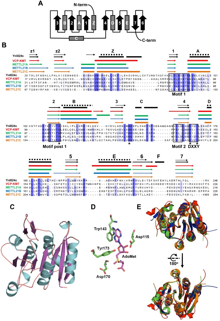 Fig 1