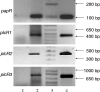 FIG. 4.