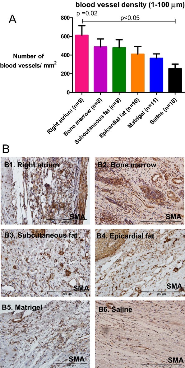 Figure 7.