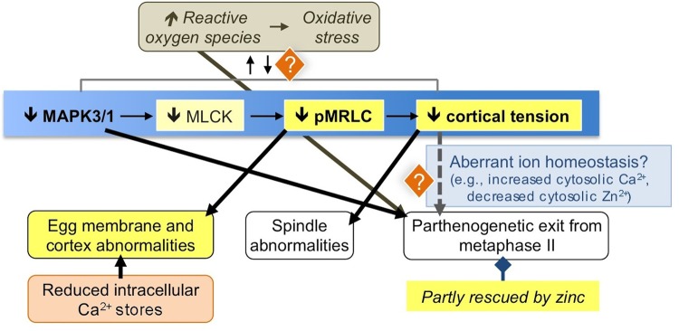 Figure 7