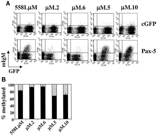 FIG. 7.