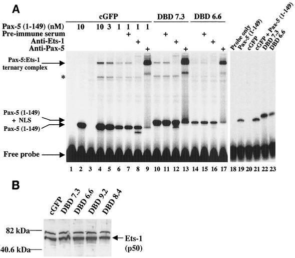 FIG. 6.