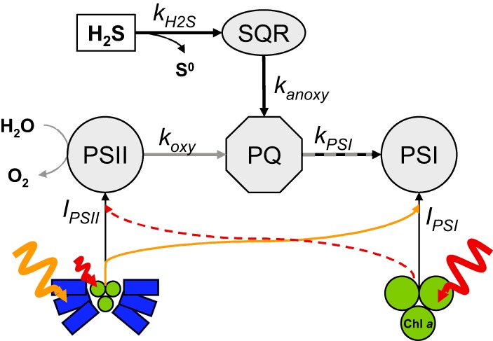 FIG 4