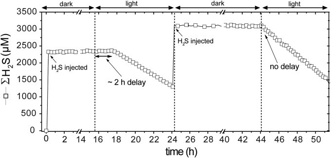 FIG 1