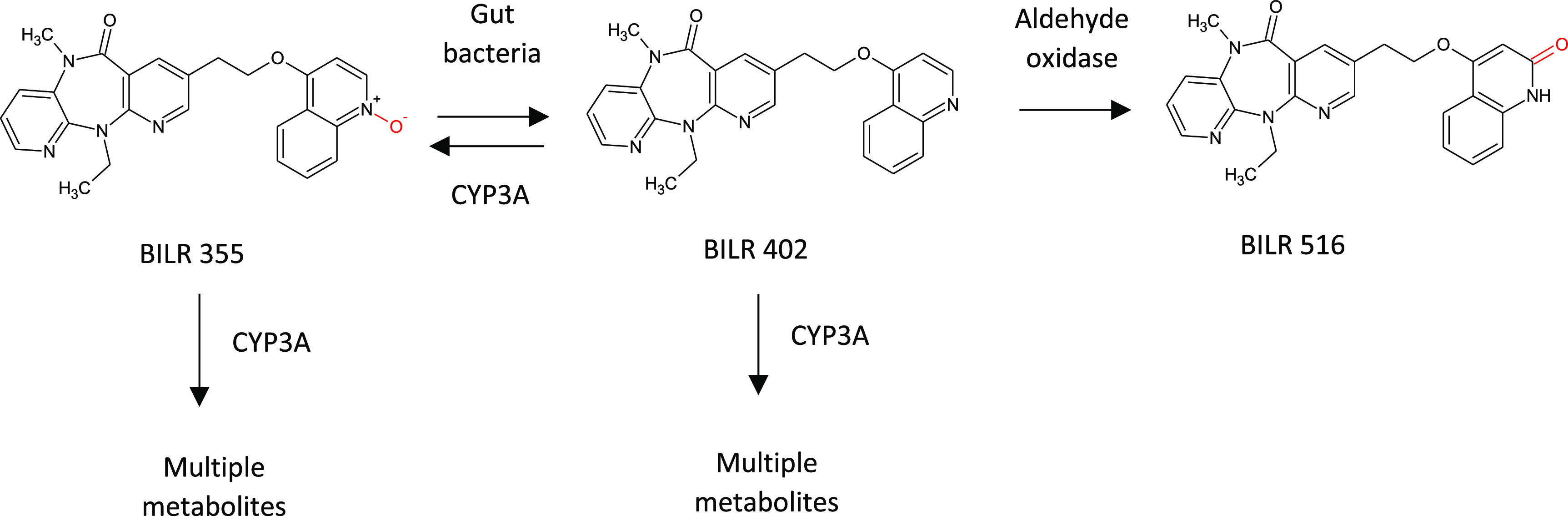 Figure 22