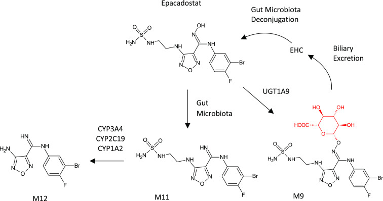 Figure 21