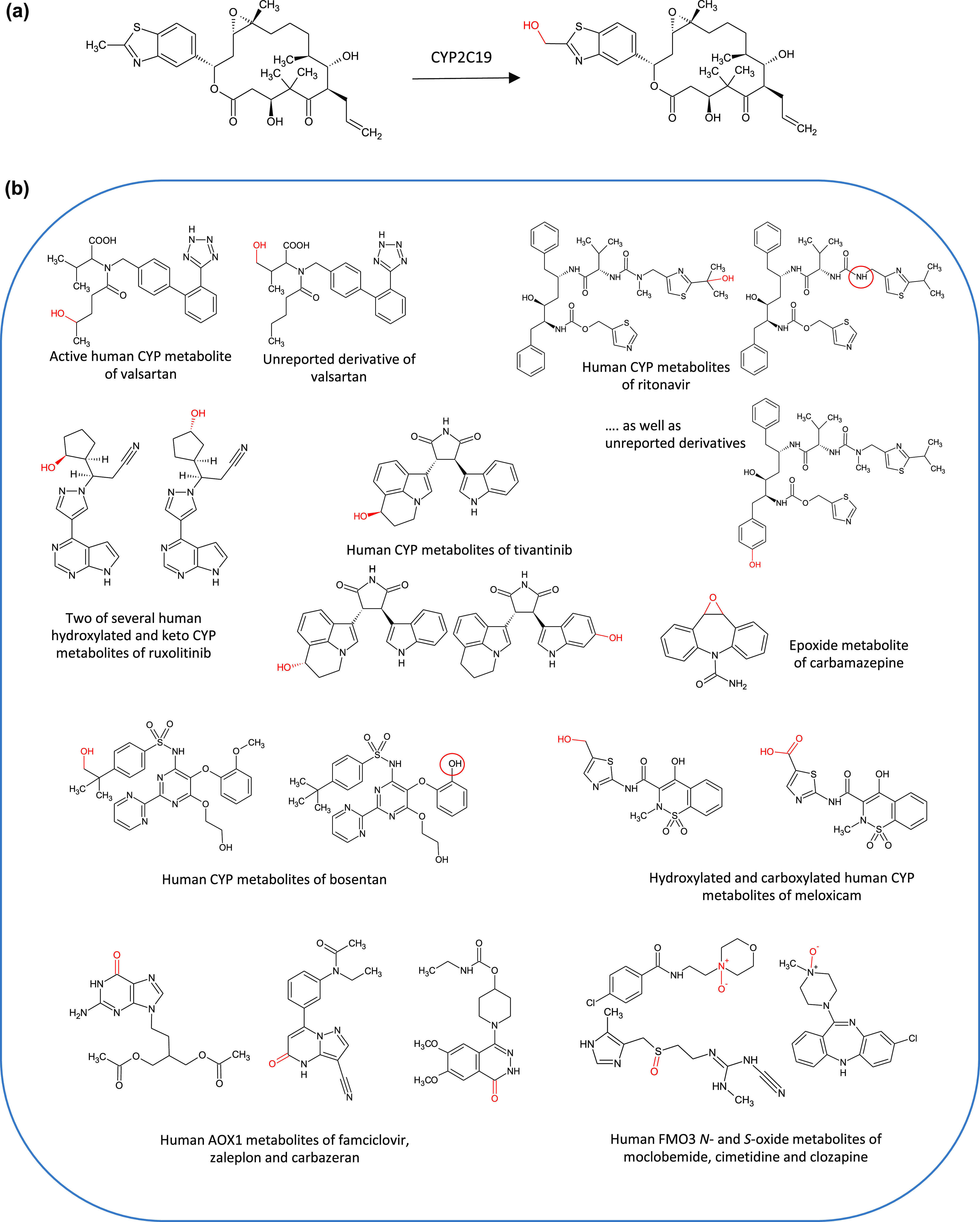 Figure 12