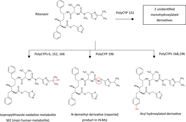 Figure 13