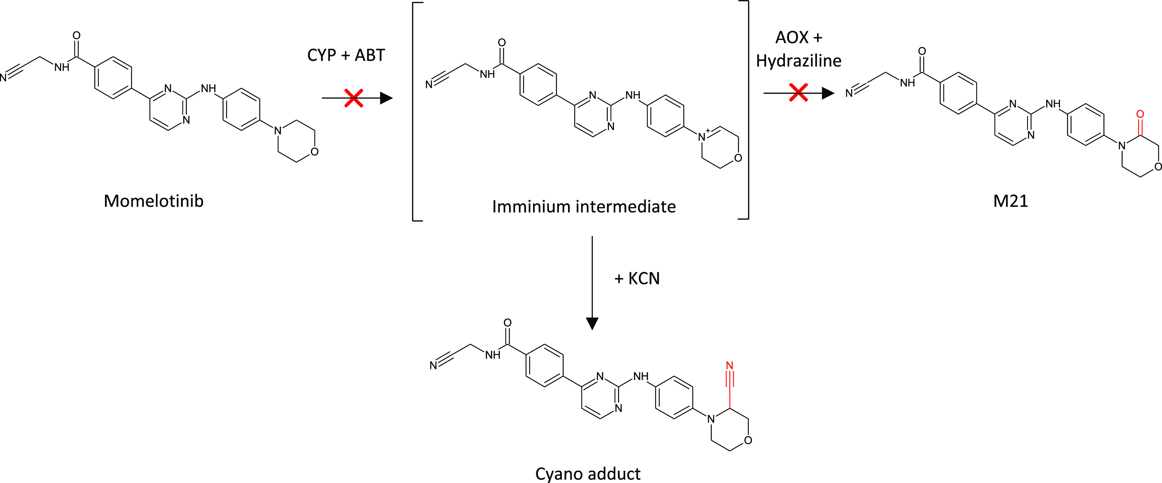 Figure 17