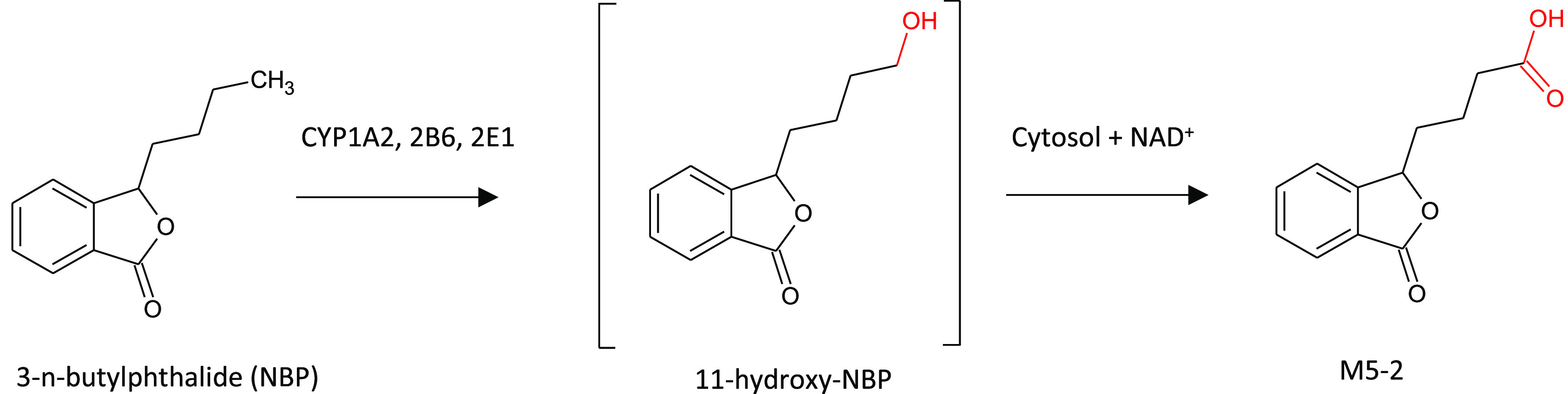 Figure 19