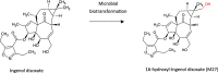 Figure 15