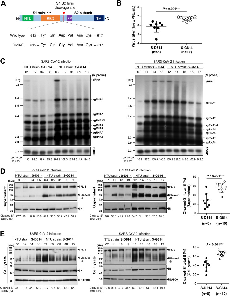 FIG 1