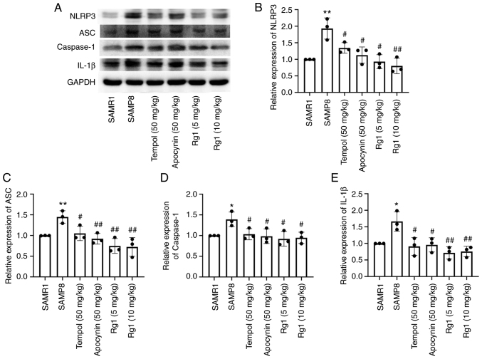 Figure 6.